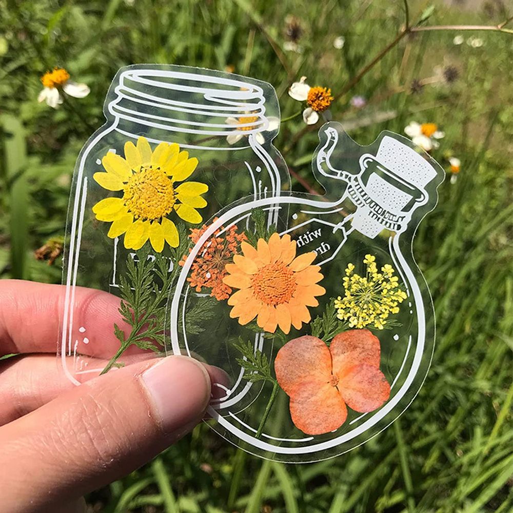 30Pcs DIY Transparent Dried Fl - Dried Flower Bookmark recension och pris