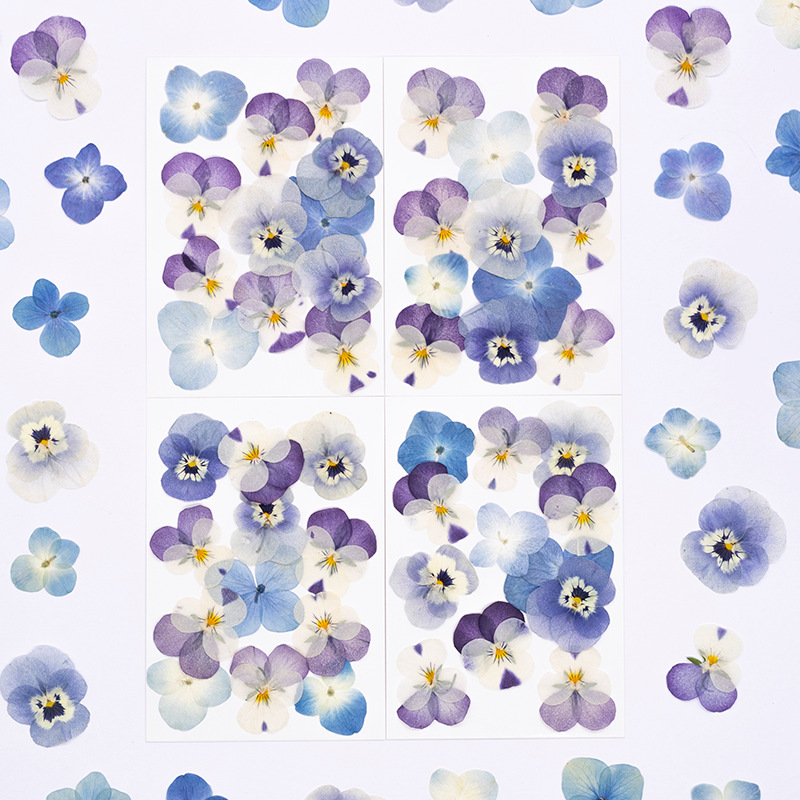 12pcs,Real Viola Cornuta Press - Dried Flower Bookmark recension och pris
